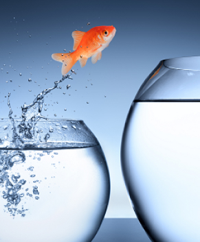 Sales growth - Front&Back